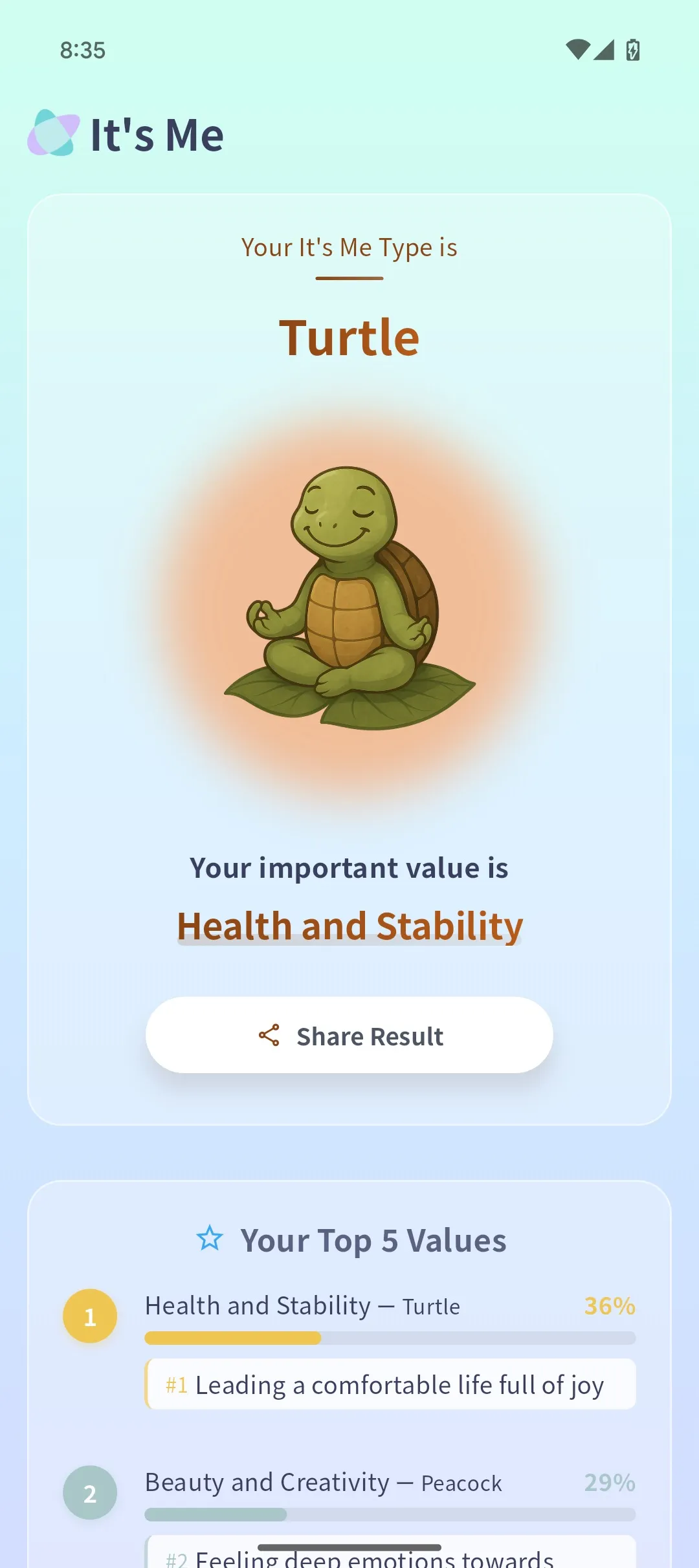 Turtle type assessment result screen